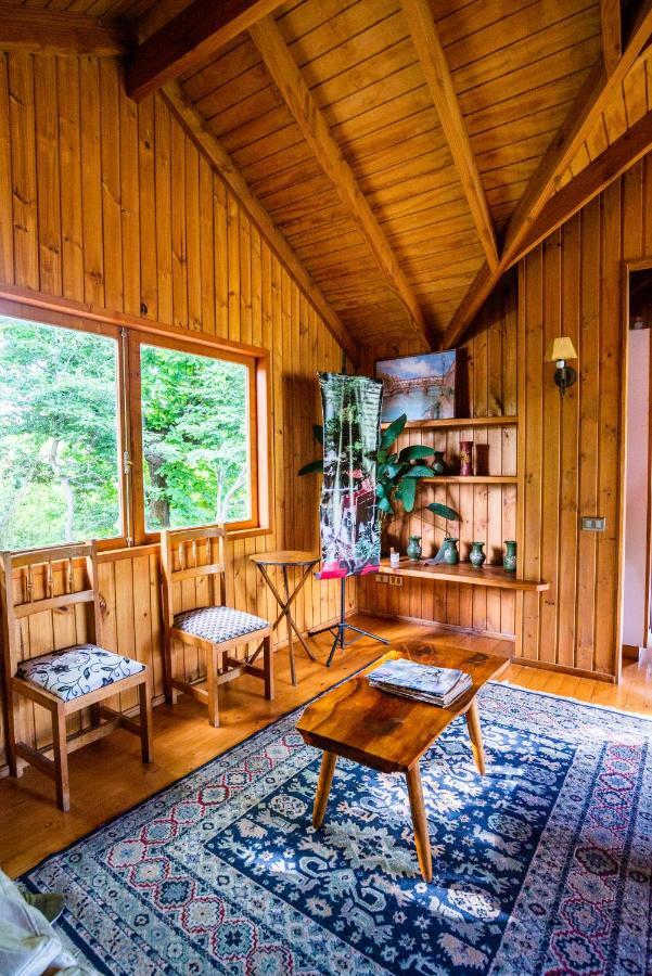 Hosteria Tricahue Pucón Exteriér fotografie